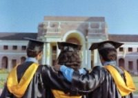 colleges